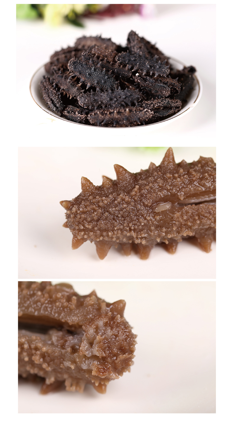 晓芹 速发海参2198套装 54g(30~35头)